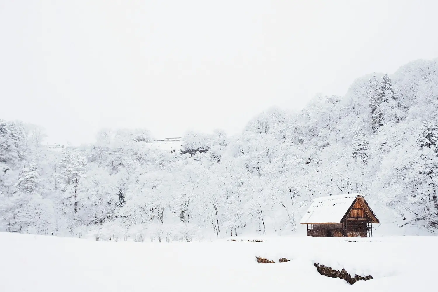 Paysage d’hiver